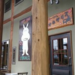 オキザリス - 外観です