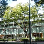 やさい家めい - 