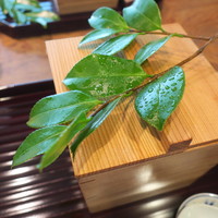 松川 - 