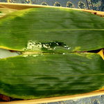 神田笹鮨 - 、先ずは笹の葉 これは握りもそうですね