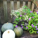 フレッシュクリーム - 