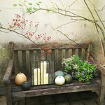 フレッシュクリーム - 