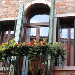 Starhotels Splendid Venice - お向かいの窓辺