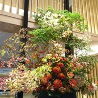 中国料理 星ヶ岡 - 