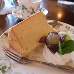 cafe chaton gris - 