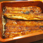 上うな重（とてつもなく美味しい）