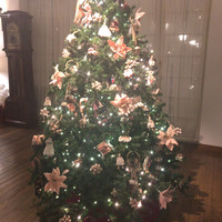 アッシュ - クリスマスツリー