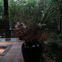 草門去来荘 東村山店 - 草門去来荘　外観1.JPG