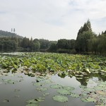 良渚君澜度假酒店中餐厅 - 