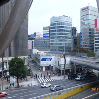 サバティーニ・ディ・フィレンツェ 東京店 - 