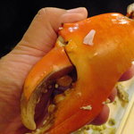 山猫軒 - このハサミの大きさ！