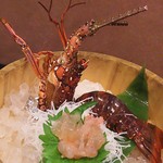 こなす - 5000円コース8-1  伊勢海老造り