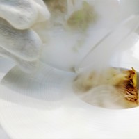 Grand rocher - Hors d'oeuvre　三種のきのことマナガツオの瞬間燻製料理　ガラスを外すと燻製煙が・・・　