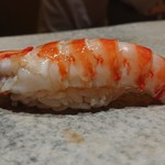 鮨 つぼみ - 車海老