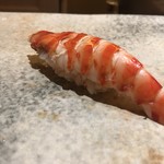 鮨 つぼみ - 車海老