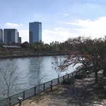 中央軒 - 秋晴れの大川を渡り、自転車を漕いで京橋へ