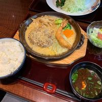 赤坂 津つ井 総本店 - 煮込みハンバーグクリーミーマスタードソース　1000円（税込み・大盛り無料）