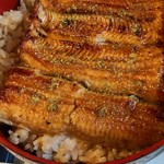 Unagi Kappou Izuei Umegawatei - 