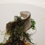 レフェルヴェソンス - 