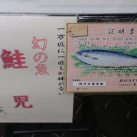 東鮨 新店 - 