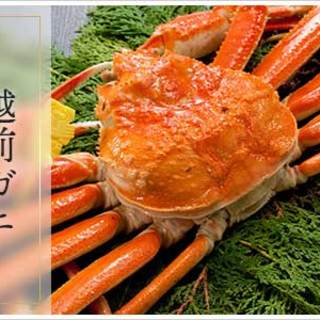 [Top Peak] Enjoy a luxurious bowl of live Echizen crab.