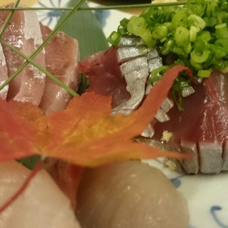 魚のおいしさを伝道する店 春代_0