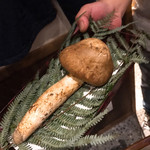 喜助 - 徳島産神山朝採り松茸