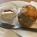 カフェ ウォルナット - 