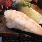 玄海鮨 - エビです