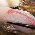 玄海鮨 - カンパチです