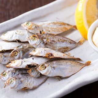 大衆酒場しんさく_1