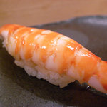 鮨あおき - 車海老