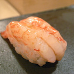 鮨あおき - 縞海老