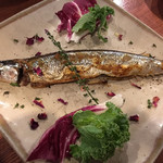 風乗りメリー - 