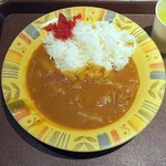 koutoushitamachishokudou - カレーライス￥330