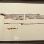 鰻はし本 - 長嶋祐成さん作の背開きの鰻