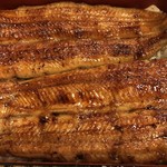 鰻はし本 - 横山さんの鰻の鰻重
