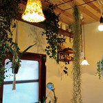 Plants plants cafe - 