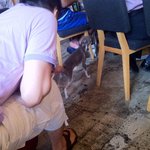 バーガーマニア - ワン子okのお店