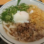 瀬戸うどん - 肉玉うどん　６９０円