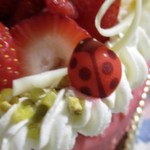 パティスリーカフェ エムヤスヒコ - ムースフレーズ 4号