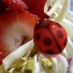 ムースフレーズ 4号