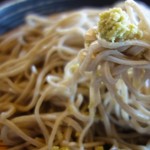 石臼挽手打ち十割蕎麦 温川 - 薬味もイケマス