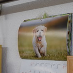 たこ焼き 西山道場 - 