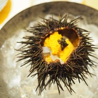 鮨よしかわ 恵比寿 - 