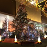 ワカヌイ グリル ダイニング バー 東京 - 