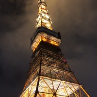 ワカヌイ グリル ダイニング バー 東京 - 