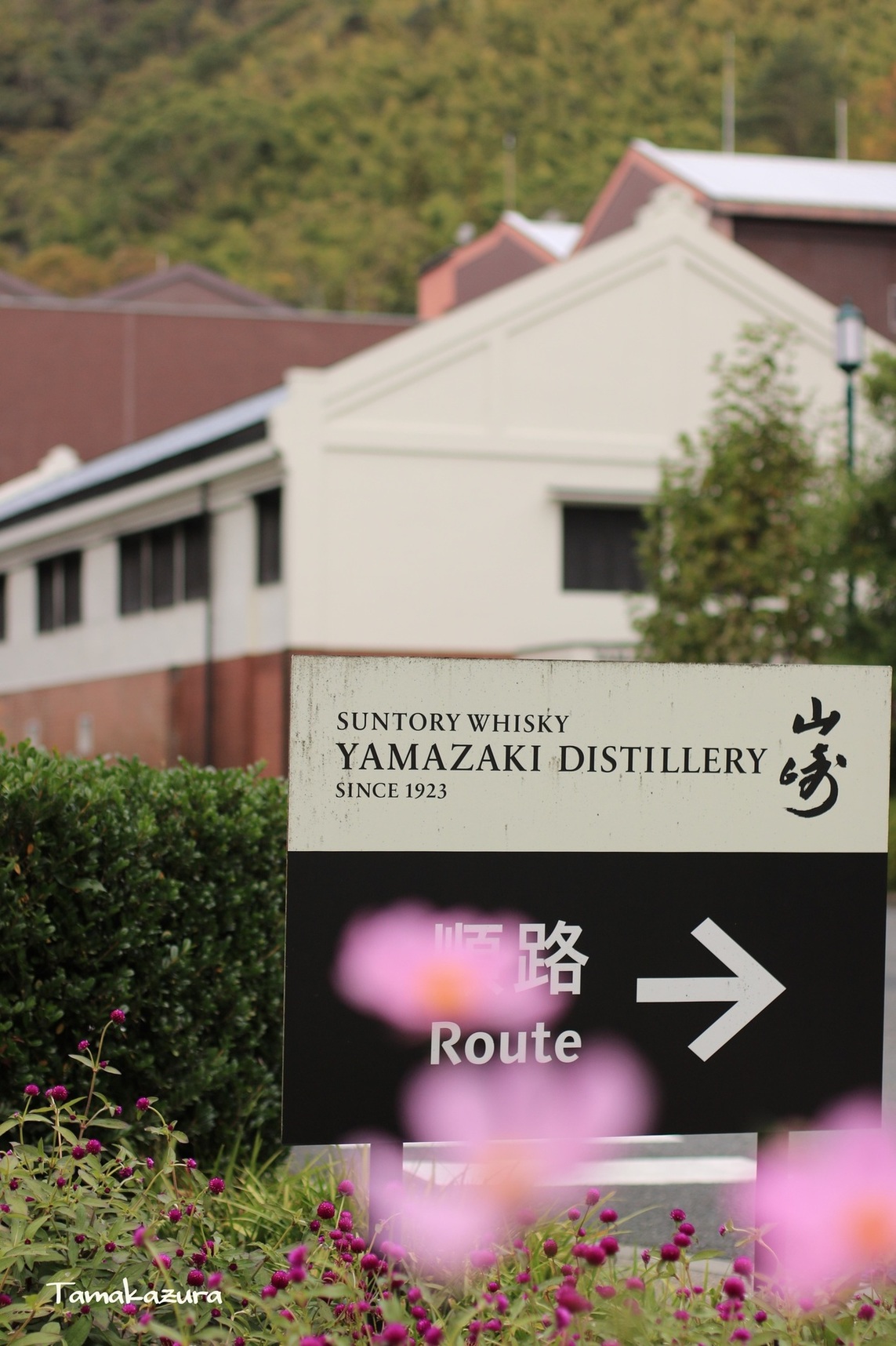 山崎蒸溜所 写真 : サントリー山崎蒸溜所 - 山崎/その他 | 食べログ