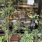 新宿オイスターバー ワーフ - 