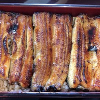 KATO'S DINING & BAR - 特上鰻重